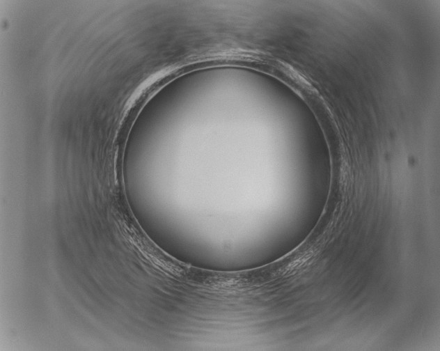 X0000053001222200507291634