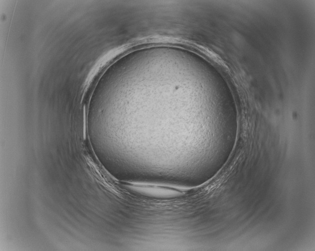 X0000053001223200507291634