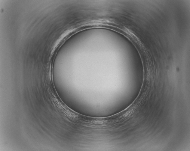 X0000053001224200507291634