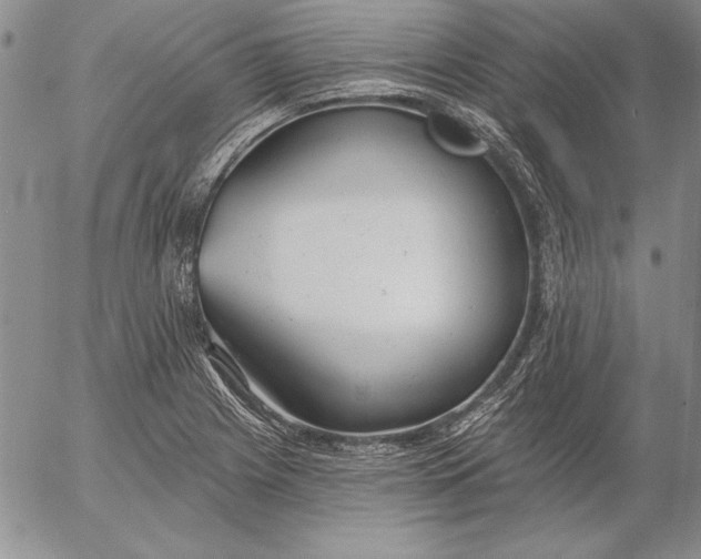 X0000053001225200507291634