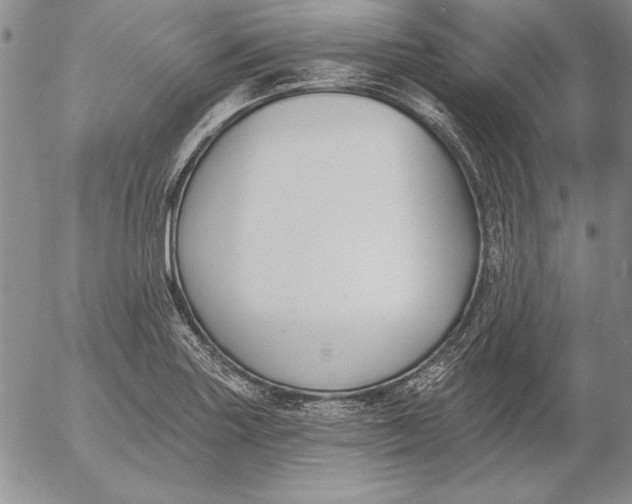 X0000053001227200507291634