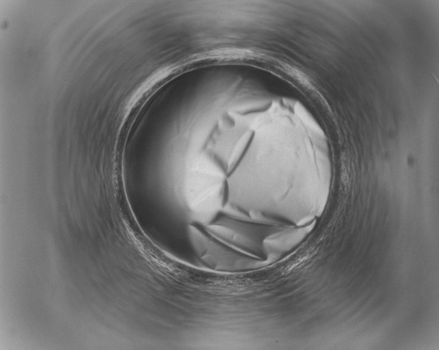 X0000053001229200507291634