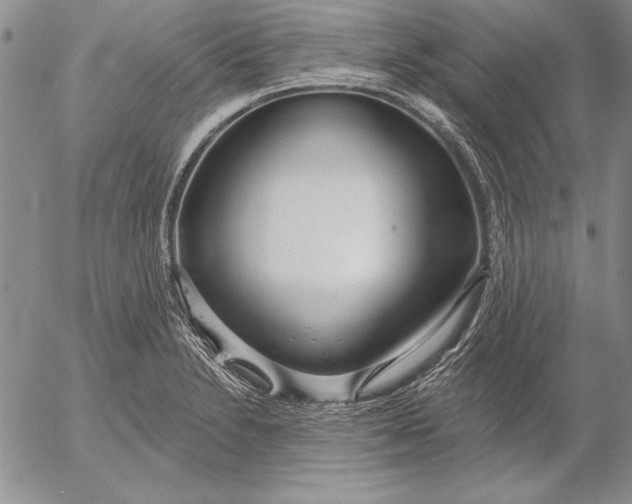 X0000053001230200507291634