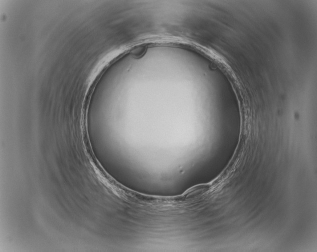 X0000053001231200507291634