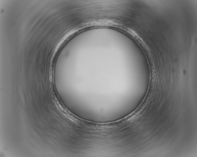 X0000053001232200507291634