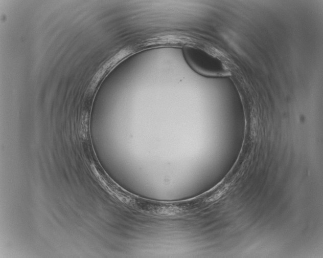 X0000053001233200507291634