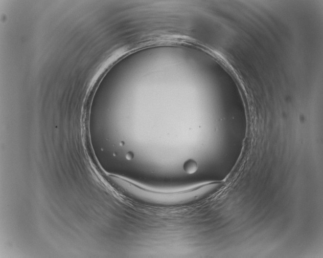 X0000053001235200507291634