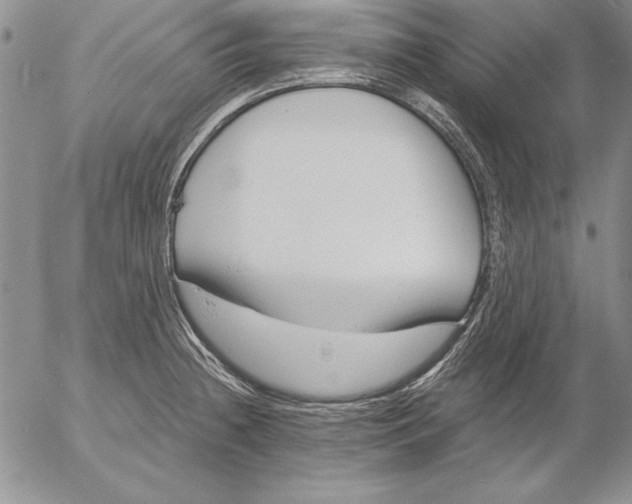 X0000053001236200507291634