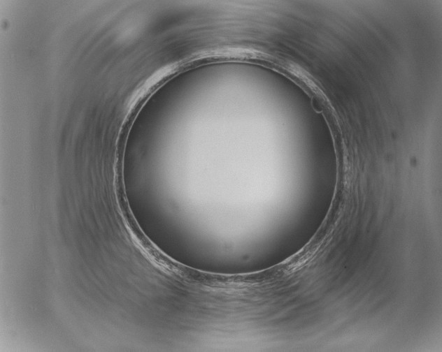 X0000053001237200507291634