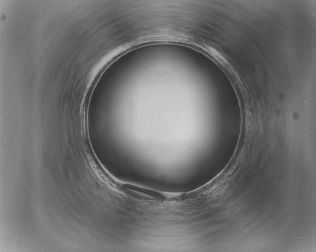 X0000053001238200507291634