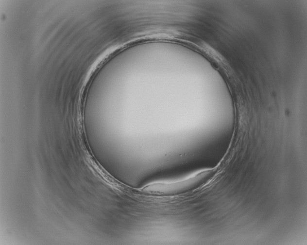 X0000053001240200507291634