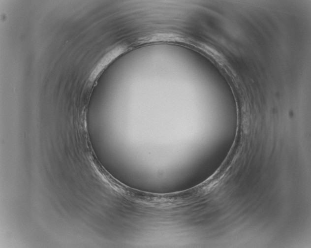 X0000053001241200507291634