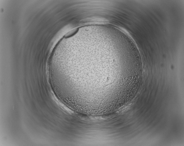 X0000053001243200507291634