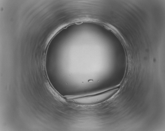 X0000053001244200507291634