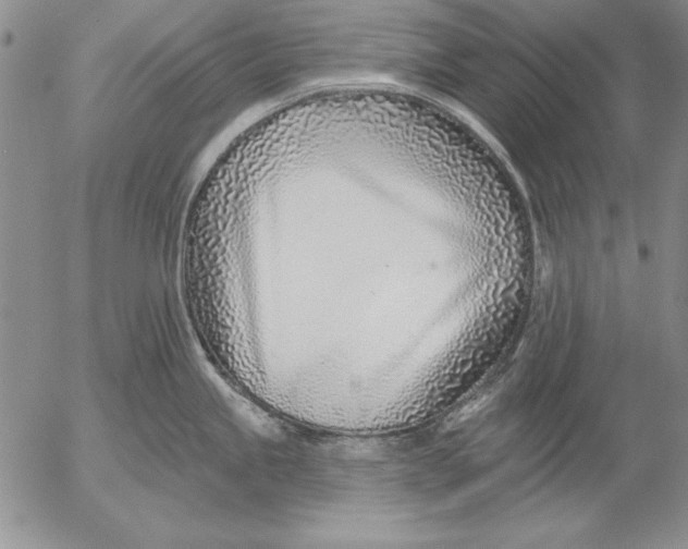 X0000053001245200507291634