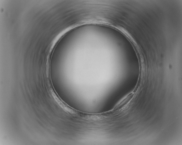 X0000053001246200507291634