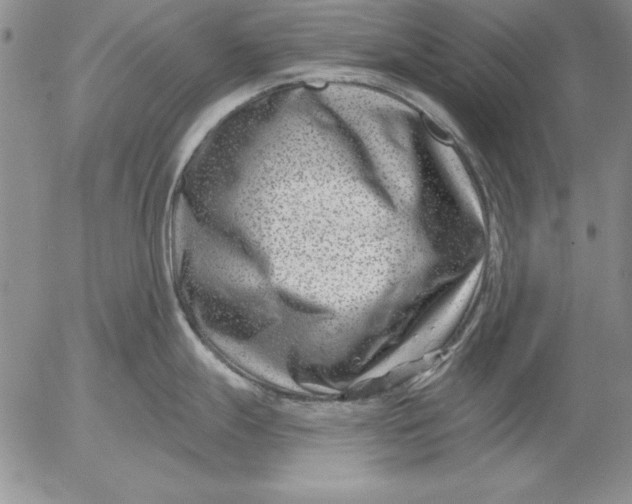 X0000053001247200507291634