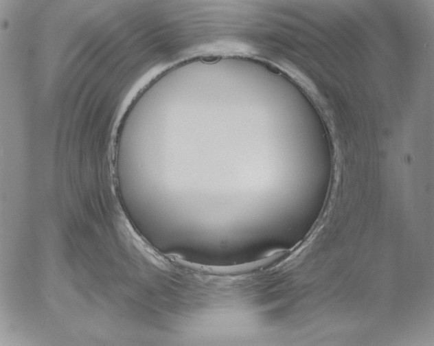 X0000053001248200507291634