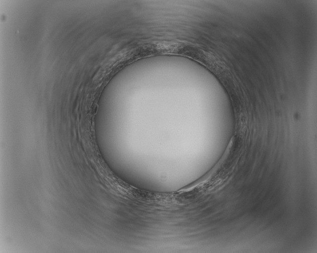 X0000053001249200507291633