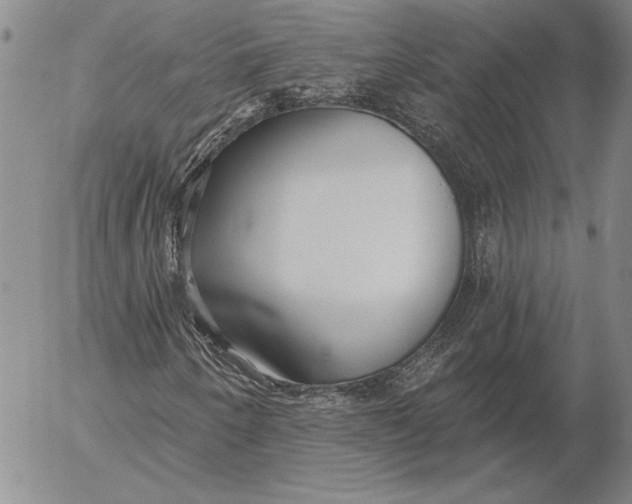 X0000053001250200507291633