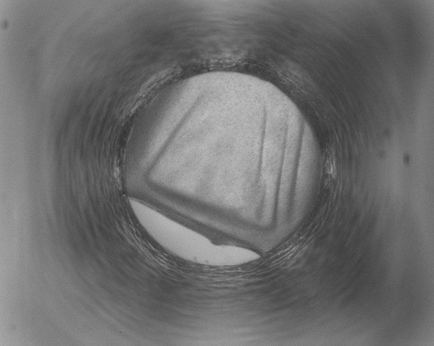 X0000053001252200507291633