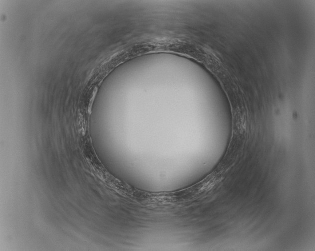 X0000053001253200507291633