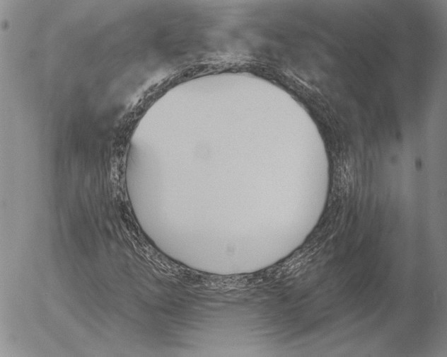 X0000053001254200507291633