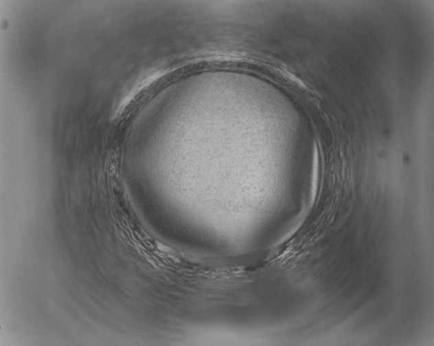 X0000053001255200507291633