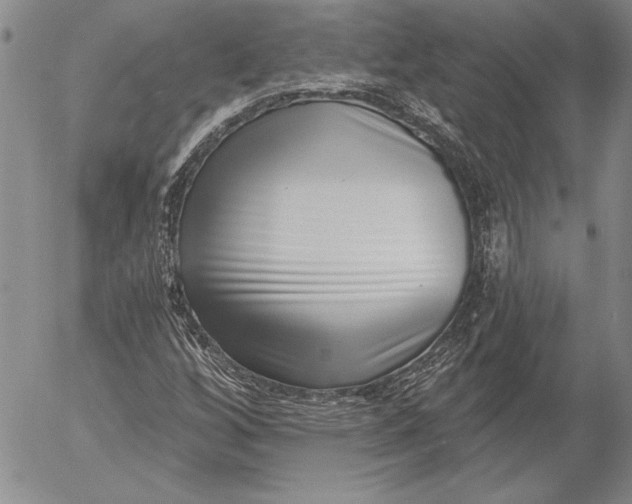 X0000053001256200507291633