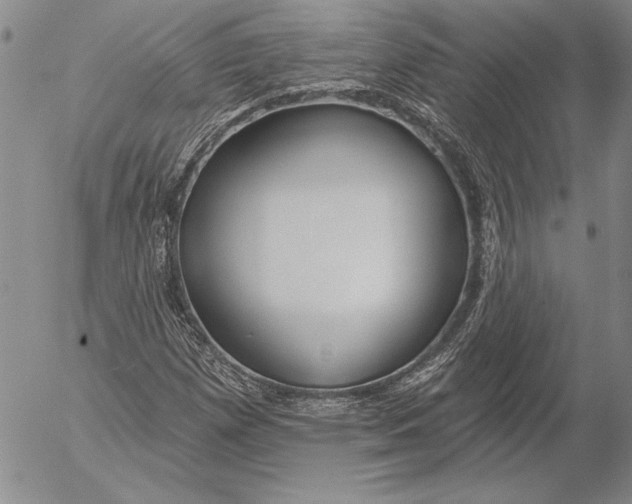 X0000053001257200507291633