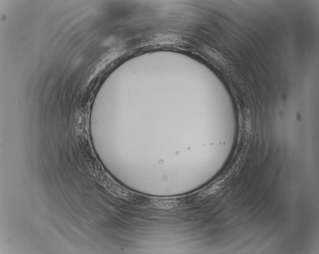 X0000053001258200507291633