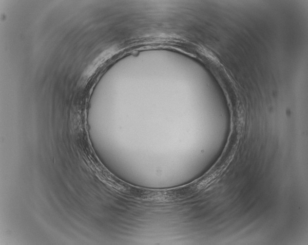 X0000053001259200507291633