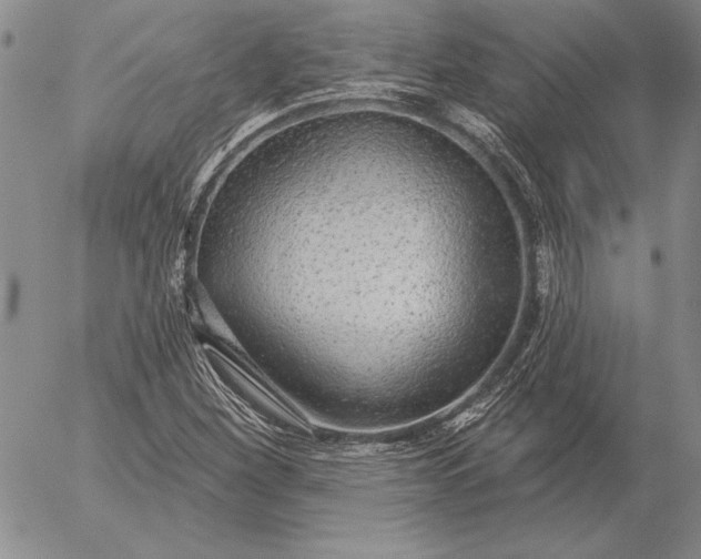 X0000053001260200507291633