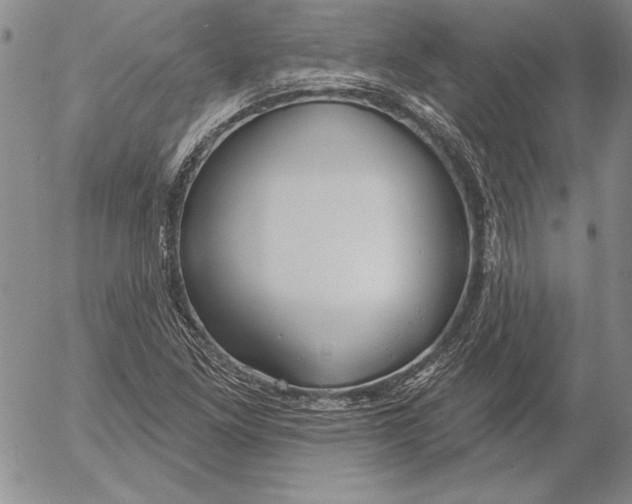 X0000053001261200507291633