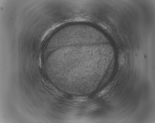 X0000053001262200507291633