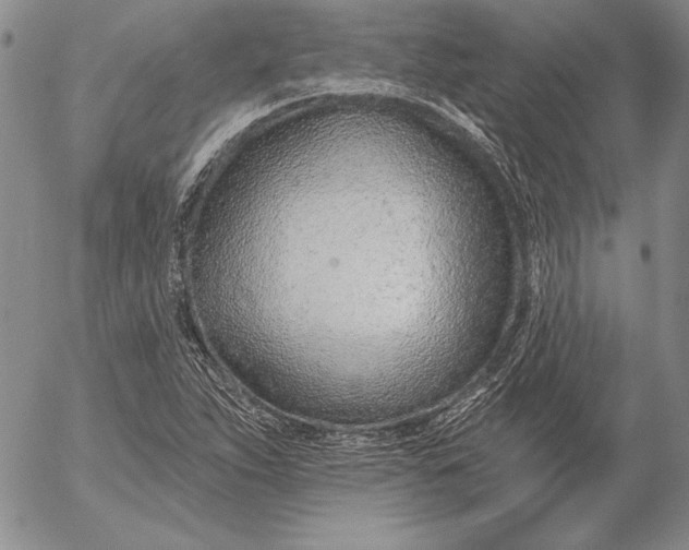 X0000053001263200507291633