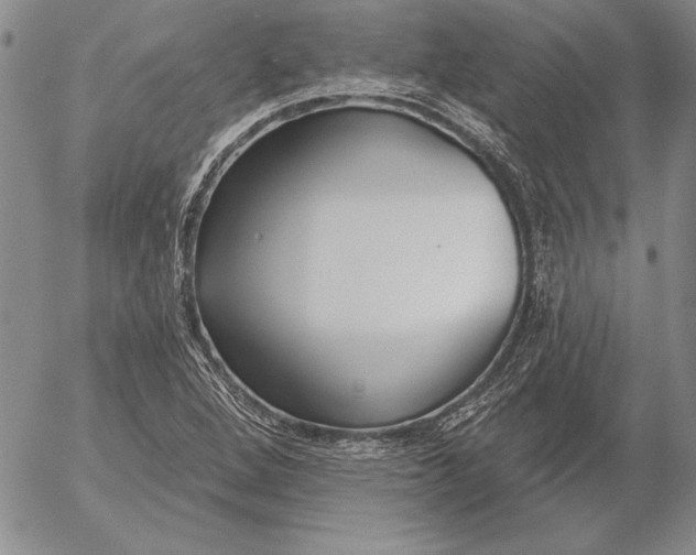 X0000053001264200507291633