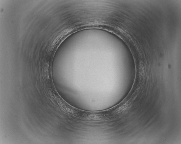 X0000053001265200507291633