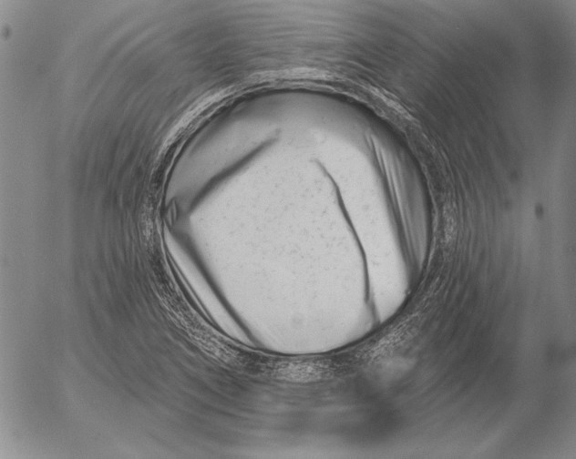 X0000053001266200507291633