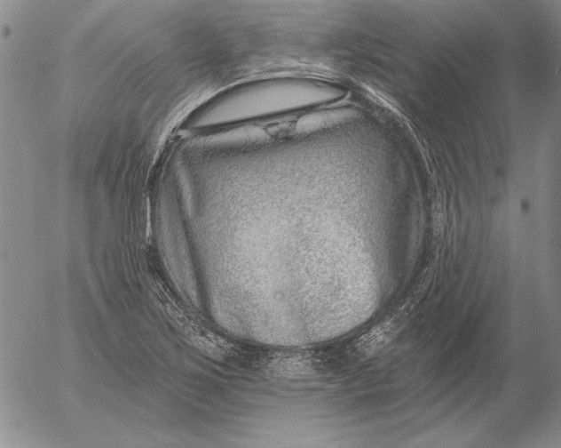 X0000053001267200507291633