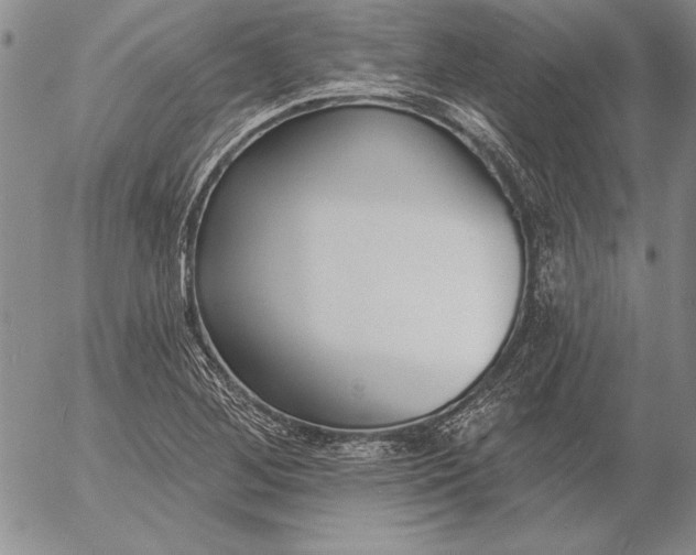 X0000053001268200507291633