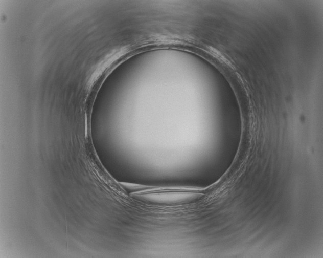 X0000053001269200507291633