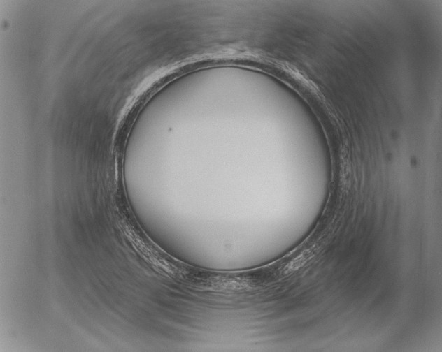 X0000053001270200507291633