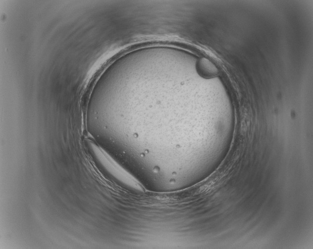 X0000053001271200507291633