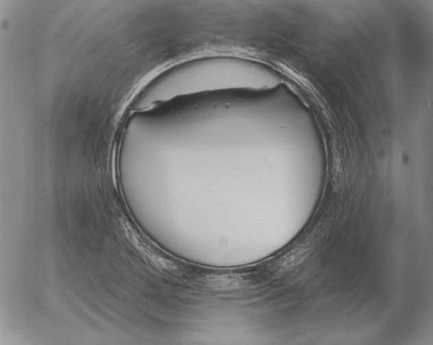 X0000053001272200507291633