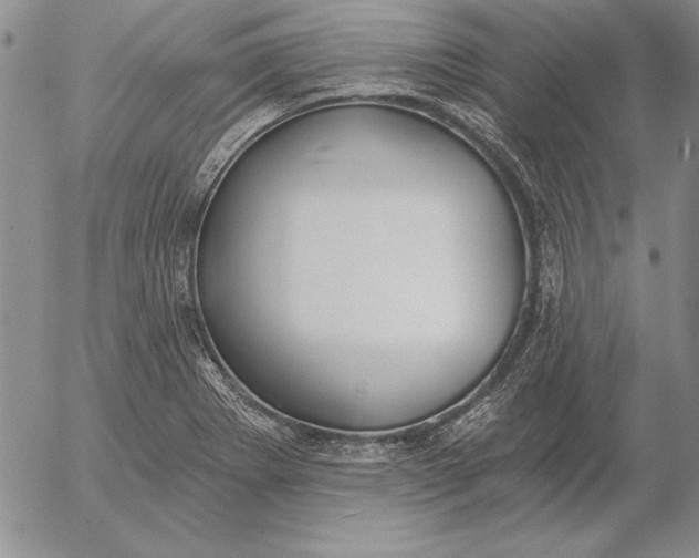 X0000053001273200507291633