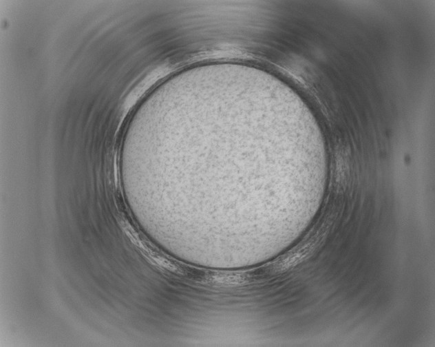 X0000053001274200507291633