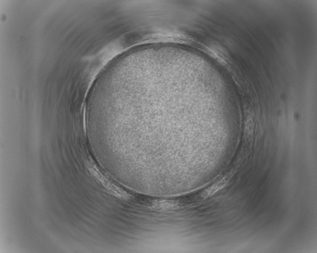 X0000053001275200507291633