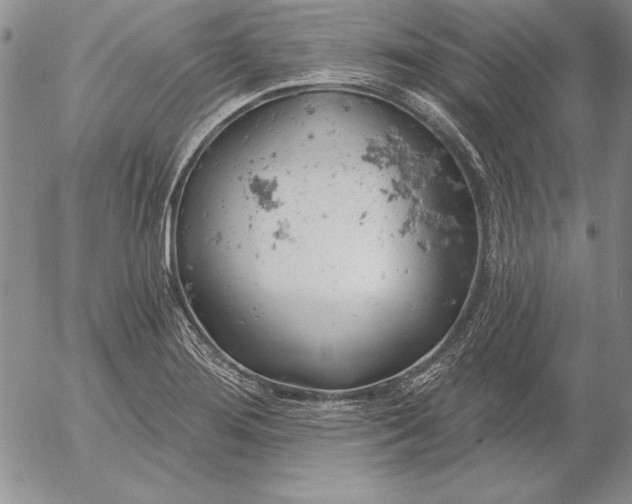 X0000053001276200507291633