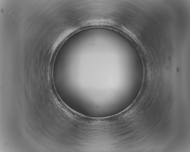 X0000053001277200507291633